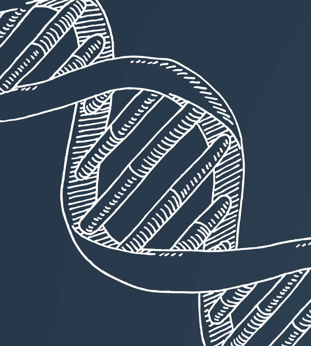 Sarepta Exon Map Explorer Division Of/